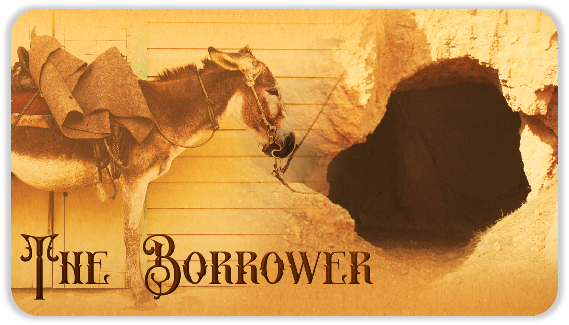 TheBorrower